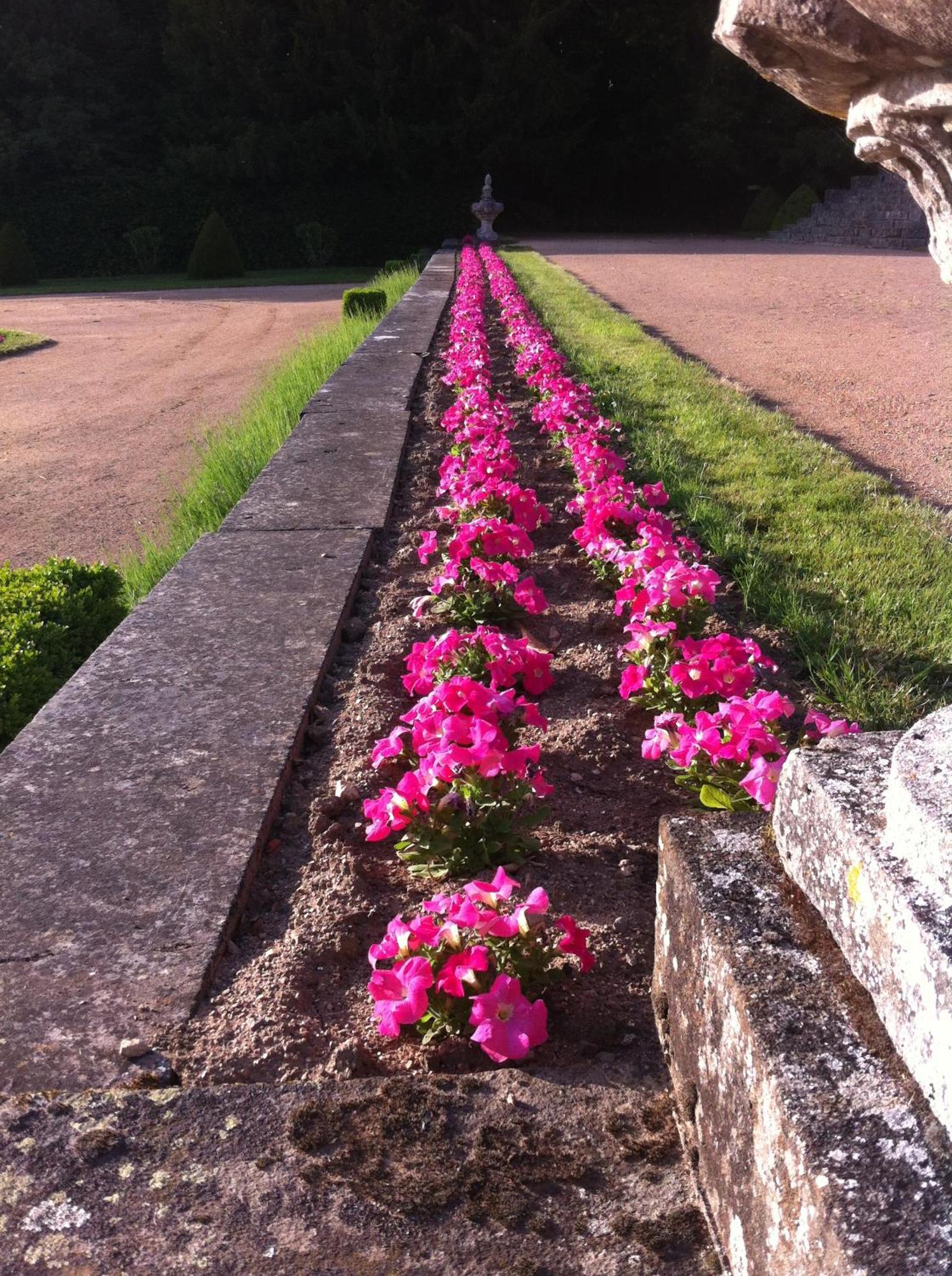 Chateau De Busset Bagian luar foto